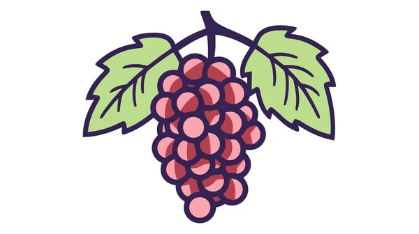 Trauben Obst Symbol Vektor Illustration Auf Weißem Hintergrund — Stockvektor
