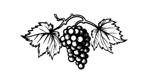 Trauben Obst Symbol Vektor Illustration Auf Weißem Hintergrund — Stockvektor