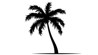 Tropik palmiye ağaçları, siyah siluetler ve beyaz arka planda dış hatlar. Vektör illüstrasyonu.
