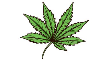 Kenevir yaprağı simgesi işareti. Beyaz arkaplanda vektör marihuana simgesi.
