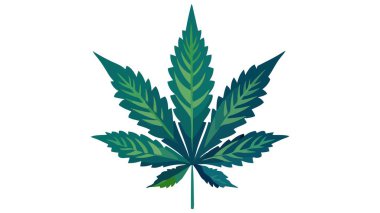 Kenevir yaprağı simgesi işareti. Beyaz arkaplanda vektör marihuana simgesi.