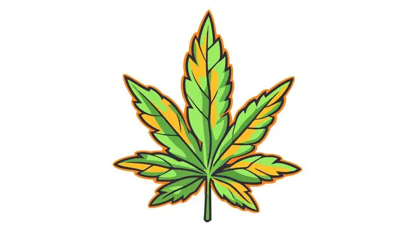 Symbol Ikony Listu Konopí Vektorová Ikona Marihuany Bílém Pozadí — Stockový vektor