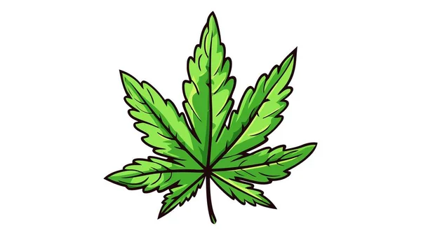 Cannabis Blad Pictogram Symbool Teken Vector Marihuana Icoon Witte Achtergrond — Stockvector