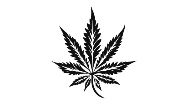 Cannabis Leaf Icon Symbol Sign Vector Marijuana Icon White Background — Stock Vector