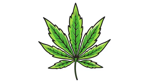 Cannabis Leaf Icon Symbol Sign Vector Marijuana Icon White Background — Stock Vector