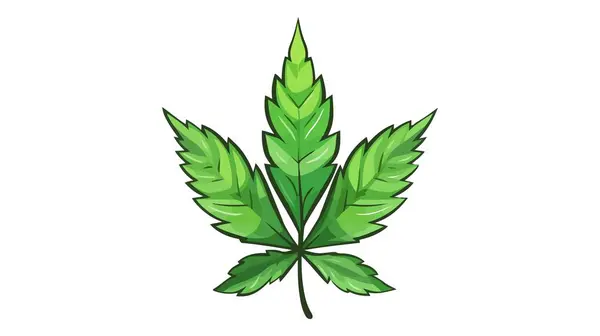 Symbol Ikony Liści Marihuany Wektor Marihuany Ikona Białym Tle — Wektor stockowy