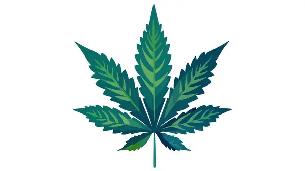 Cannabis Leaf Icon Symbol Sign Vector Marijuana Icon White Background — Stock Vector
