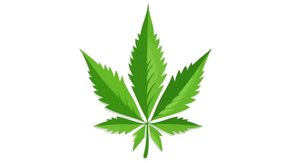 Symbol Zeichen Für Cannabis Blatt Vektor Marihuana Symbol Auf Weißem — Stockvektor