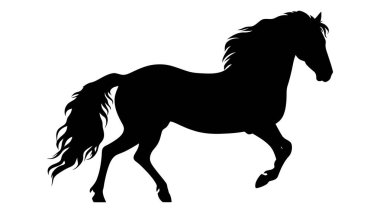 Siyah at silueti. Vektör illüstrasyonu beyaz arkaplanda izole edildi.