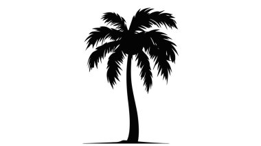 Beyaz arka planda izole edilmiş siyah palmiye ağaçları. Avuç içi siluetleri