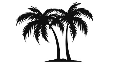Beyaz arka planda izole edilmiş siyah palmiye ağaçları. Avuç içi siluetleri