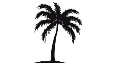 Beyaz arka planda izole edilmiş siyah palmiye ağaçları. Avuç içi siluetleri