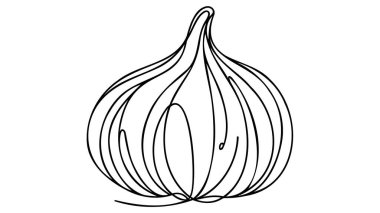Sürekli çizim tarzında sarımsak. Sarımsak ampulü minimalist siyah çizim beyaz arka planda izole edilmiş. Vektör illüstrasyonu.