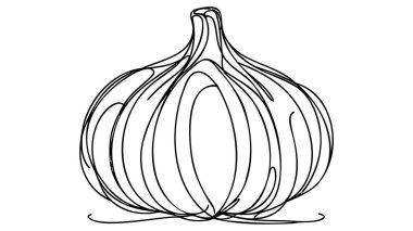 Sürekli çizim tarzında sarımsak. Sarımsak ampulü minimalist siyah çizim beyaz arka planda izole edilmiş. Vektör illüstrasyonu.