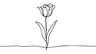 Lale bir çizgi çiziyor. Soyut çiçek aralıksız çizgi. Minimalist lale çizimi. Sürekli çiçek çizimi. El çizimi, yapraklı çiçek çizimi..