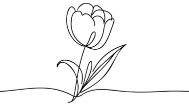 Lale bir çizgi çiziyor. Soyut çiçek aralıksız çizgi. Minimalist lale çizimi. Sürekli çiçek çizimi. El çizimi, yapraklı çiçek çizimi..