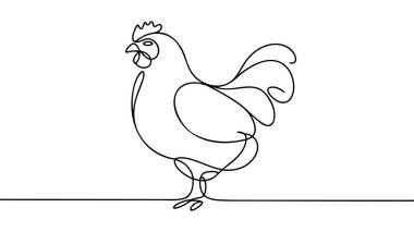 Devamlı çizim tarzında tavuk. Beyaz arka planda izole edilmiş tavuk minimalist siyah doğrusal tasarım. Vektör illüstrasyonu