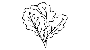 Çiftlik logosu kimliği için sağlıklı organik hardal yeşili yapraklardan oluşan tek bir çizgi. Taze brassica juncea sebze ikonu konsepti. Modern sürekli çizgi çizimi tasarım vektörü illüstrasyonu