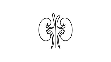 Üreterli insan böbrekleri bir çizgi sanat eseri. Sürekli insan, iç organ, böbrek, üreter ve dışkı çizgileri çiziliyor..