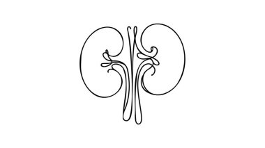 Üreterli insan böbrekleri bir çizgi sanat eseri. Sürekli insan, iç organ, böbrek, üreter ve dışkı çizgileri çiziliyor..