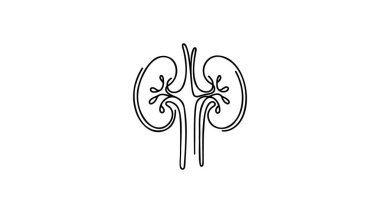 Human kidneys with ureters one line art. Continuous line drawing of human, internal, organs, kidneys, ureters, excretory system. clipart