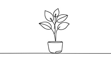 Sürekli bir saksıda çiçek çizimi. Beyaz arka planda izole edilmiş güzel bir çiçek. Vektör illüstrasyonu.