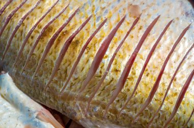 Balık yemek için hazır. Yağlı balıklar da özellikle kalp sağlığını destekleyen uzun zincirli omega-3 yağ asitleri bakımından zengindirler..