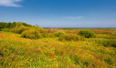 Yaz manzarası. Dünyanın Avrupa bölgesindeki bir nehir. Güneşli sıcak bir gün. Yeşil ağaçlar, çimenler. Mavi gökyüzü küçük bir bulut örtüsüyle.