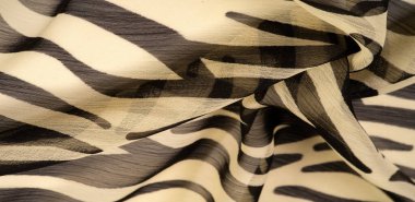 Siyah ve bej çizgili ipek kumaş, Afrika tarzı zebra derisi. Tasarımcı için, tasarımın taslağı, dekoratörün çevresi. Arkaplan dokusu koleksiyonu