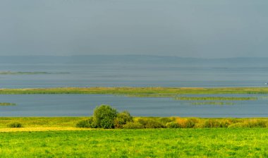 Yaz manzarası. Dünyanın Avrupa bölgesindeki bir nehir. Güneşli sıcak bir gün. Yeşil ağaçlar, çimenler. Mavi gökyüzü küçük bir bulut örtüsüyle.