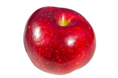 Beyaz arka planda elma. Elma ağacı - gerçek güzelliğin bir örneği