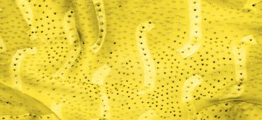 Kusursuz kaleydoskop, sarı ipek. Şık bir sunum için ihtiyacın olan tek şey güneşli sarı ipek bir musluk..