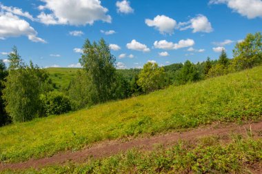 Yaz fotoğrafları, tepeler, tepeler, huş ağaçları dağların yamaçlarında yetişir. Yamaç boyunca dönen toprak bir yol, sıcak yaz günleri.
