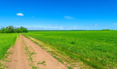 Bahar, manzara, toprak yol ya da yeryüzünün içinden geçtiği yol.