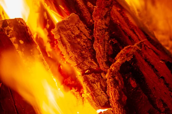 Fire. Fire is an important process affecting ecological systems around the world. Positive effects include stimulating growth and maintaining various ecological systems