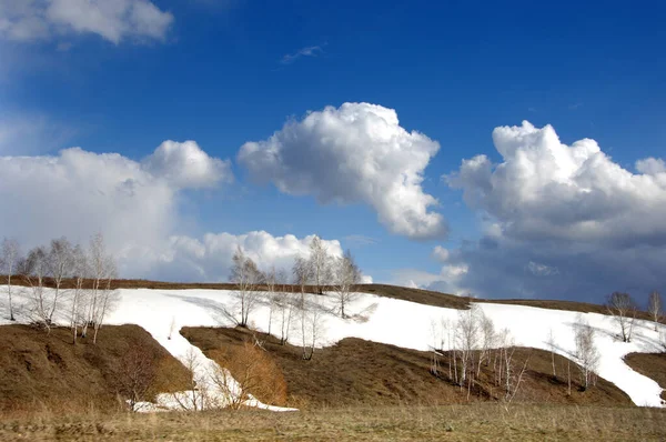 春天是最后的雪 风景摄影 春天是冬天 正如世界上一些地方所预测的那样 是冬天的最后一天 — 图库照片