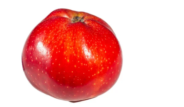 白い背景にアップル アダムがリンゴにアレルギーがあるなら世界は違う — ストック写真