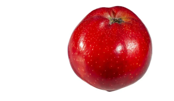 Jablko Bílém Pozadí Jabloň Příklad Skutečné Krásy — Stock fotografie