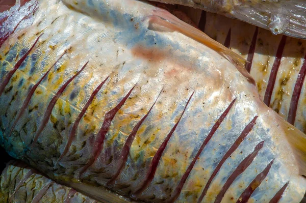 Ryby Jsou Připraveny Jídlu Ryby Obsahují Vysoce Kvalitní Bílkoviny Další — Stock fotografie