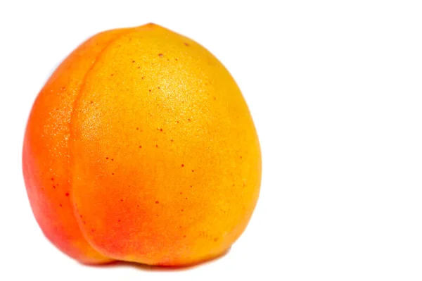 Apricot Рідкісний Різновид Спадщини Англії Початку 1800 Років Плоди Маленькі — стокове фото