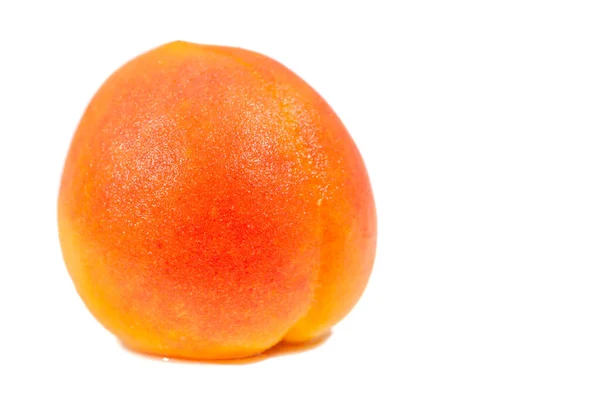 Apricot Rare Heritage Variety England Early 1800S Fruits Small Medium — Stock Photo, Image