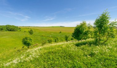 Yaz, çayır tarlaları, vadiler, çam ağaçları fındık ağacı, kır çiçekleri, dünyanın Avrupa bölgesi.