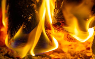 Şöminede yangın var. Çekici birini bulduğumuzda, gözbebeklerimiz büyür ve diğer kişiye bilinçaltı işareti göndeririz. Kamp ateşinin sıcacık ışığında, gözbebeklerimiz doğal olarak büyür..