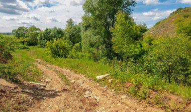 Yaz, tepe, tepeler, huş ağaçları dağların yamaçlarında büyürler. Yamaç boyunca dönen toprak bir yol, sıcak yaz günleri.