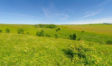 Yaz manzarası, çayır tarlaları, vadiler, çam ağaçları fındık ağacı, kır çiçekleri, dünyanın Avrupa bölgesi.