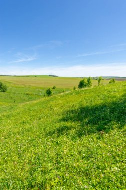 Yaz manzarası, çayır tarlaları, vadiler, çam ağaçları fındık ağacı, kır çiçekleri, dünyanın Avrupa bölgesi.