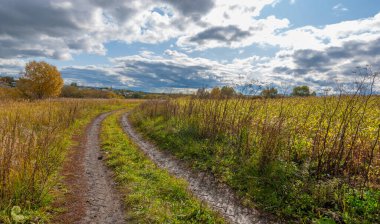  Büyük taneler ya da çekirdekler üreten bir Kuzey Amerika tahıl bitkisi mısır koçanı üzerine dizilmiş. Birçok çeşidi, hem insan hem de çiftlik hayvanı tüketimi için son derece değerli sayısız ürün sunuyor..