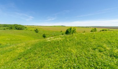 Yaz, çayır tarlaları, vadiler, çam ağaçları fındık ağacı, kır çiçekleri, dünyanın Avrupa bölgesi.