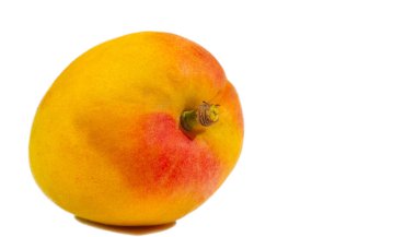 Kayısı. Kendi adları Prunus Armeniaca olsa da kayısılar muhtemelen Çin 'den geliyor, Ermenistan' dan değil. Bilinen en eski meyve kayıtları İmparator Yu zamanından, M.Ö. 2200 civarında.,