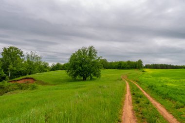 İlkbahar fotoğrafçılığı, kırsal alan, genç buğday tarlalarının arasından geçen toprak yol, bir yerden diğerine uzanan geniş bir yol, özellikle araçların kullanabileceği özel hazırlanmış bir yüzeye sahip olan bir yol.